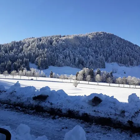 Ritter Daire